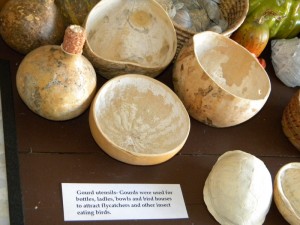 gourd